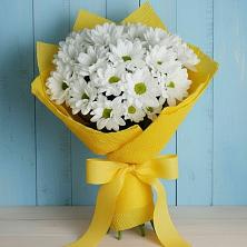 Букет цветов из:  Хризантемы в Новосиле