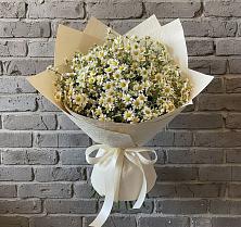 Букет цветов из:  Ромашки #REPLACE_PRED# Новосиле