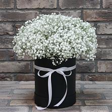 Цветочная композиция из Гипсофила в шляпной коробке в Новосиле