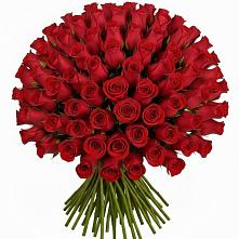 Букет Красные розы Чери Лав #REPLACE_PRED# Новосиле